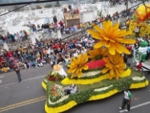 Imagen Carros decorados con frutas y 